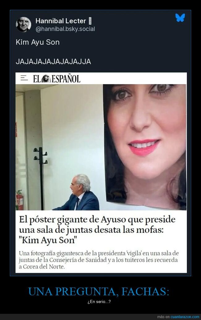 ayuso,póster,políticos