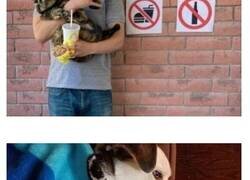 Enlace a Imágenes realmente incómodas