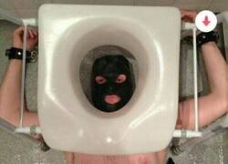 Enlace a Explorando sus límites