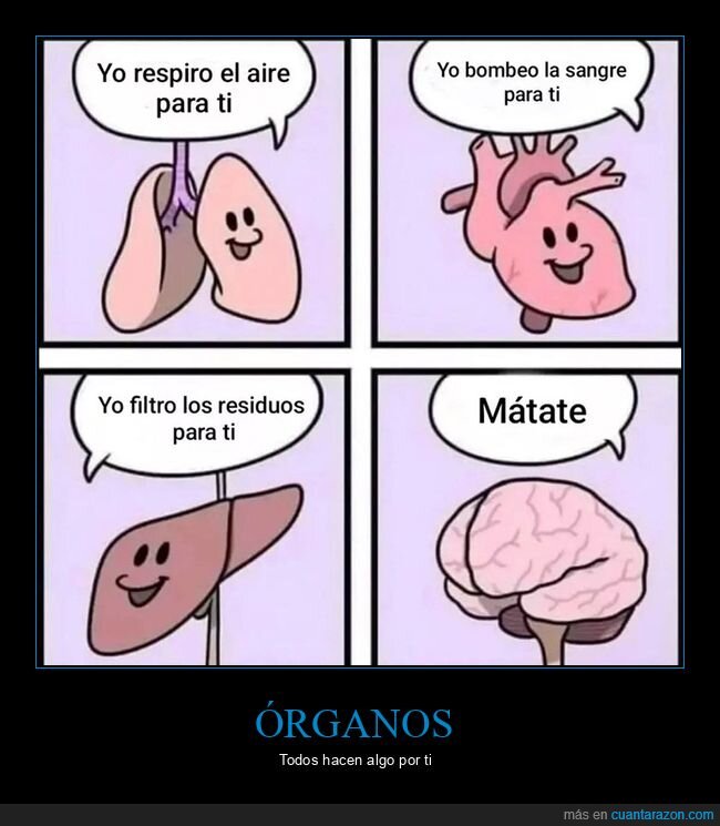 absurder,cerebro,órganos