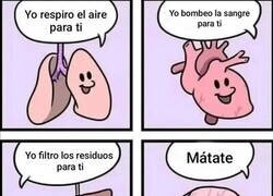 Enlace a Cada órgano cumple su función