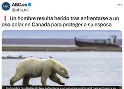 Enlace a Luchando por su amada