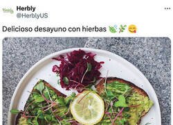 Enlace a Desayuno para rumiantes