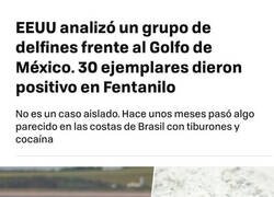 Enlace a La crisis del fentanilo llega a los océanos