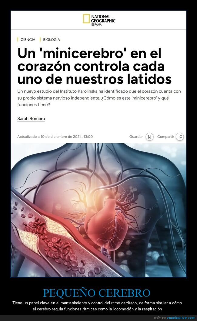 cerebro,corazón