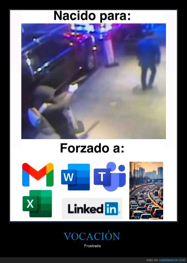 forzado,luigi mangione,trabajo