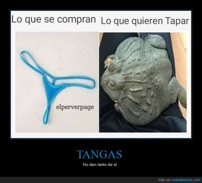 tanga,sapo,tapar