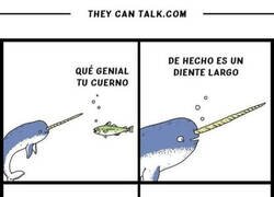 Enlace a El cuerno del narval