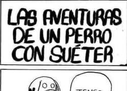 Enlace a Suéter demasiado corto