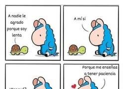 Enlace a Las enseñanzas de las tortugas