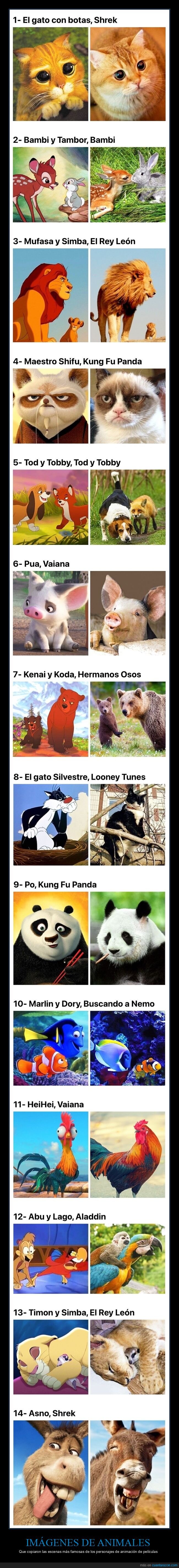 animales,personajes de animación,parecidos