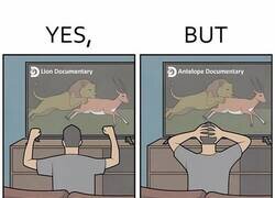 Enlace a Las sensaciones cambian según el tipo de documental