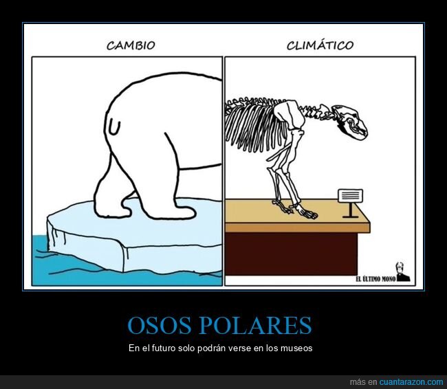 osos polares,cambio climático