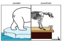 Enlace a Abocados a la extinción