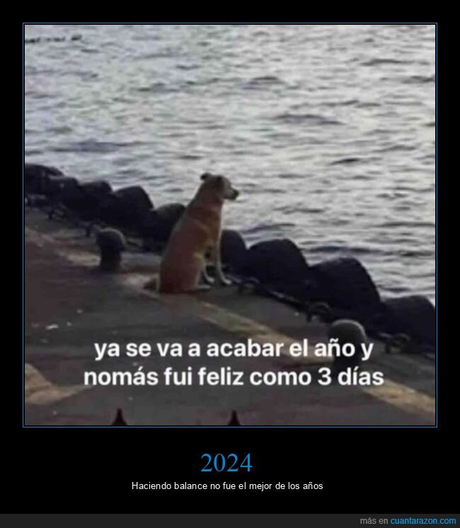 2024,acabar,feliz