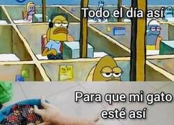 Enlace a Dos vidas muy distintas