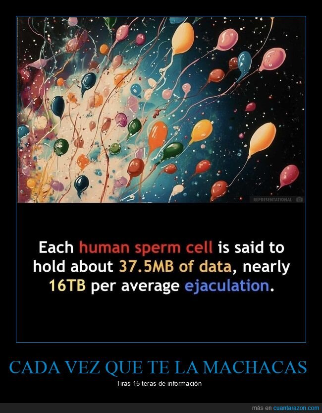 espermatozoides,información