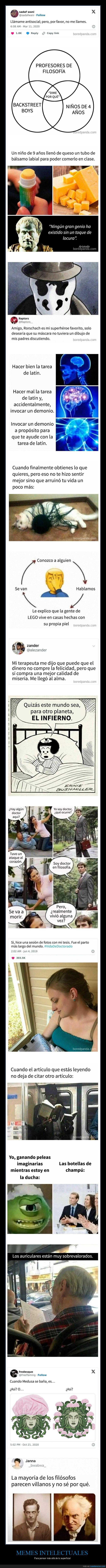 memes intelectuales
