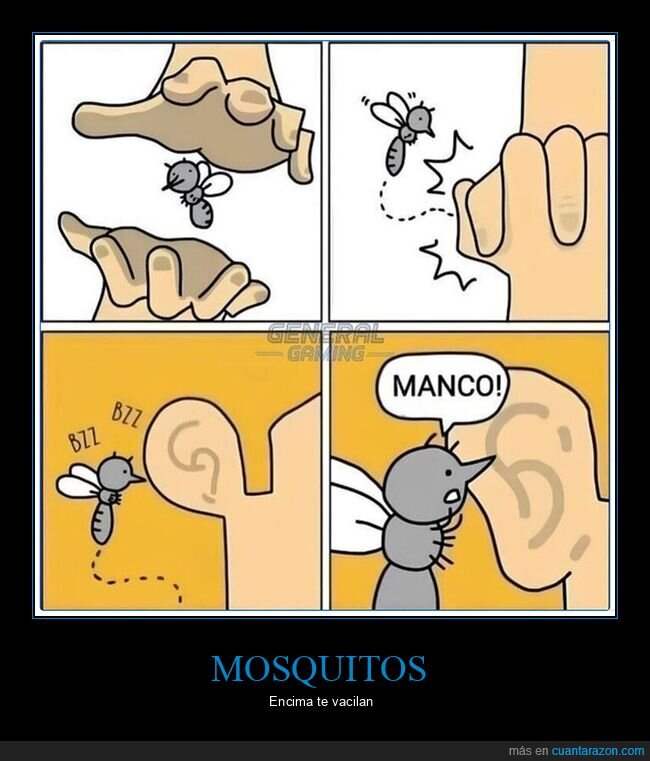 manco,mosquito