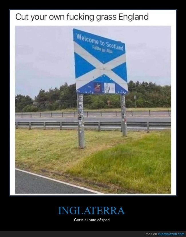 carteles,césped,escocia,inglaterra