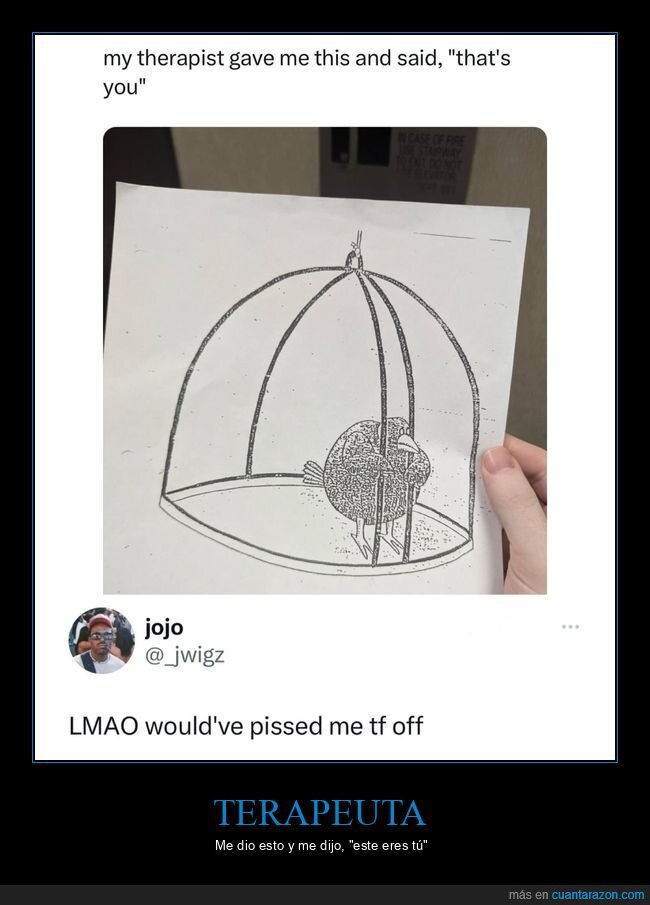 terapeuta,pájaro,jaula