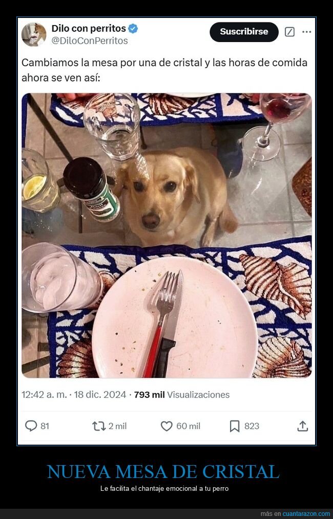 mesa,comer,perro