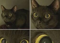 Enlace a Lo tiene en el punto de mira