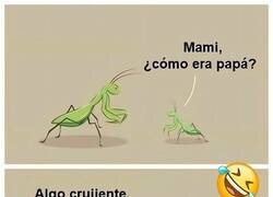 Enlace a Recuerdos de papá