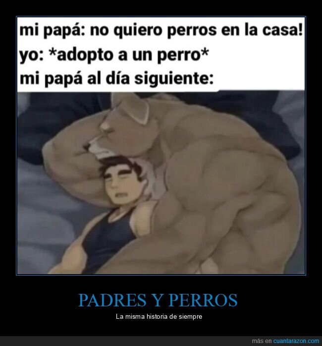 padre,perro