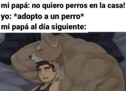 Enlace a Pasa en muchas casas