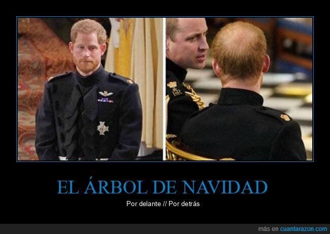 árbol de navidad,delante,detrás,principe harry