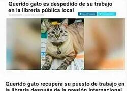 Enlace a Despedido y readmitido