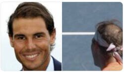 Enlace a Lo que el árbol de Navidad esconde