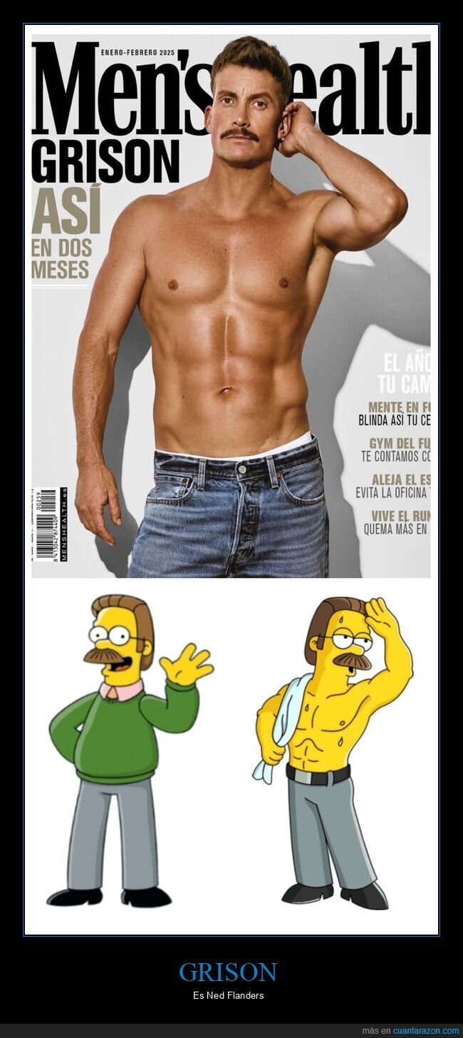 grison,flanders,parecidos,simpsons