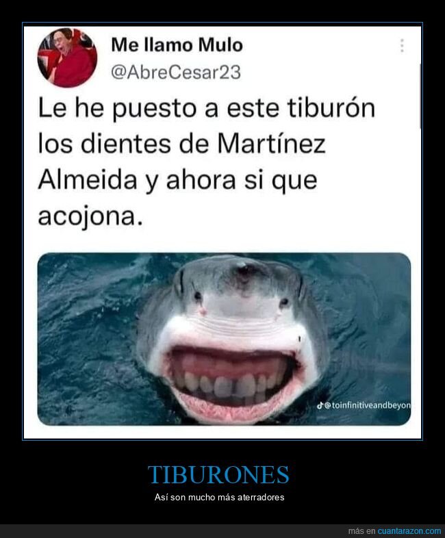 almeida,dientes,políticos,tiburón