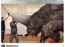 Enlace a Animales raros que por desgracia ya se encuentran extintos