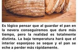 Enlace a Cosas que nunca deberías meter en la nevera