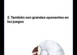 Enlace a El increíble vínculo de los Padres y sus hijas, en 10 conmovedoras imágenes