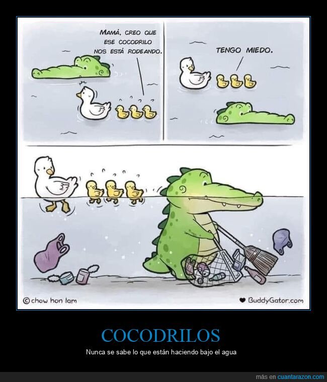 cocodrilo,patos