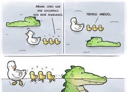 Enlace a Cuidado con el cocodrilo