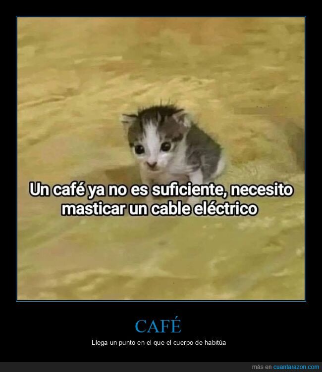 café,masticar,cable eléctrico