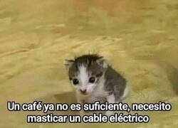 Enlace a Cuando el café se queda corto