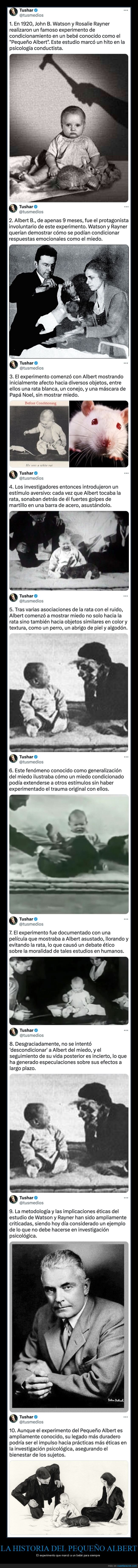 experimento,bebé,psicología