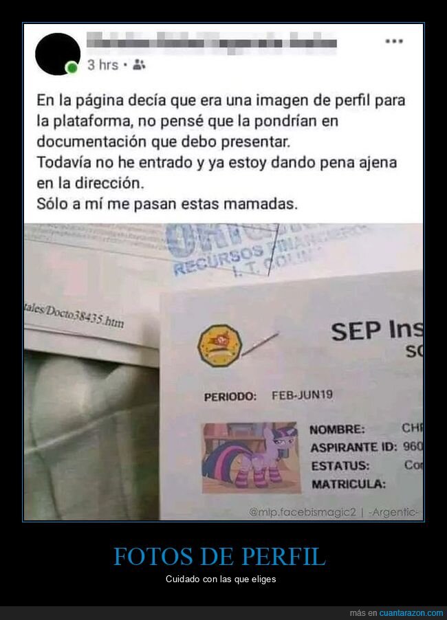 documentación,foto de perfil,my little pony