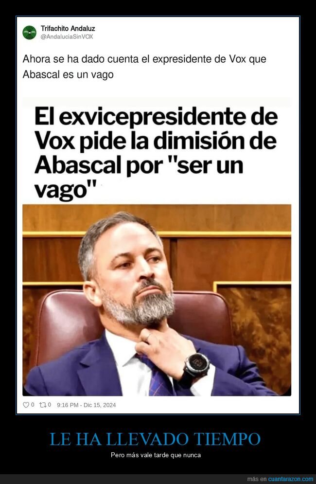 vox,dimisión,abascal,políticos,vago