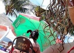 Enlace a Hay gente que carece de vergüenza...