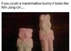 Enlace a De conejito a Kim Jong-un