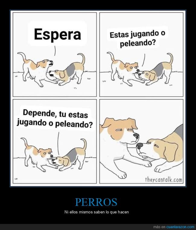 jugando,peleando,perros