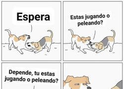 Enlace a ¿Jugando o peleando?