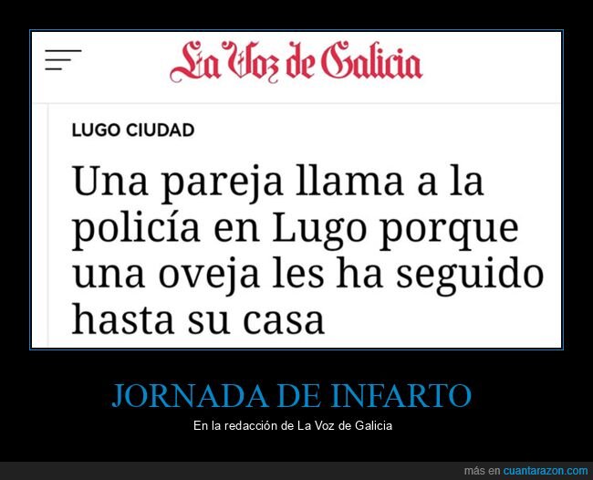 oveja,policía,seguir